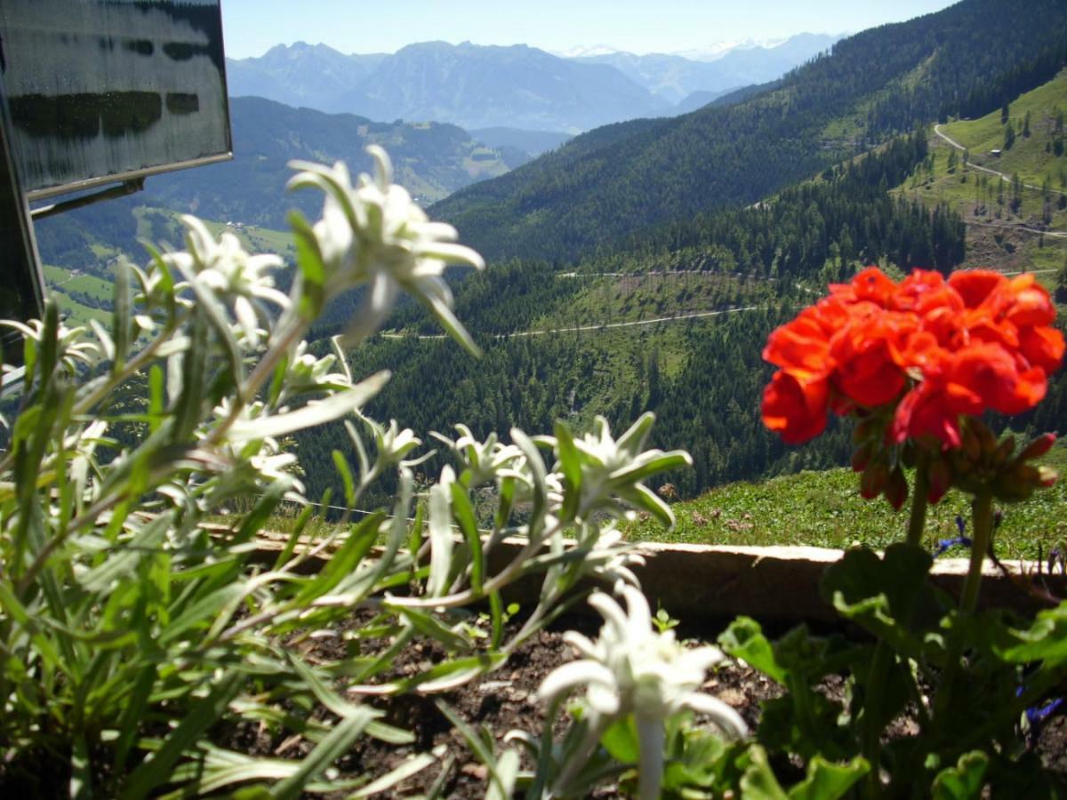 Chesa Montana Hotel Maria Alm am Steinernen Meer Exterior foto